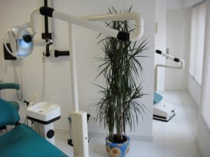clinica dental